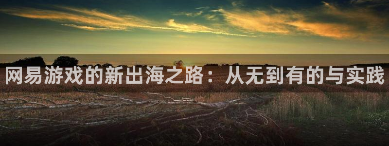 多彩娱乐2登录：网易游戏的新出海之路：从无到有的与实践