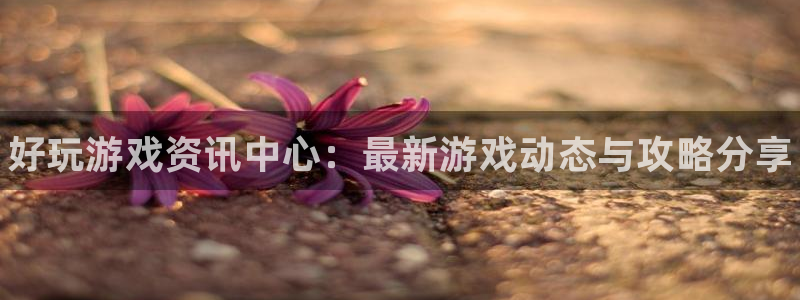 多彩娱乐注册网站：好玩游戏资讯中心：最新游戏动态与攻略分享
