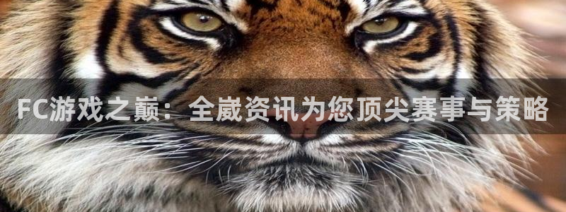 多彩娱乐注册网站：FC游戏之巅：全崴资讯为您顶尖赛事与策略