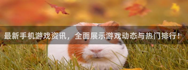 多彩娱乐注册：最新手机游戏资讯，全面展示游戏动态与热门排行！