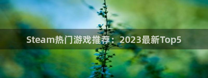 多彩娱乐的意思：Steam热门游戏推荐：2023最新Top5
