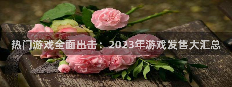 多彩娱乐平台注册：热门游戏全面出击：2023年游戏发售大汇总