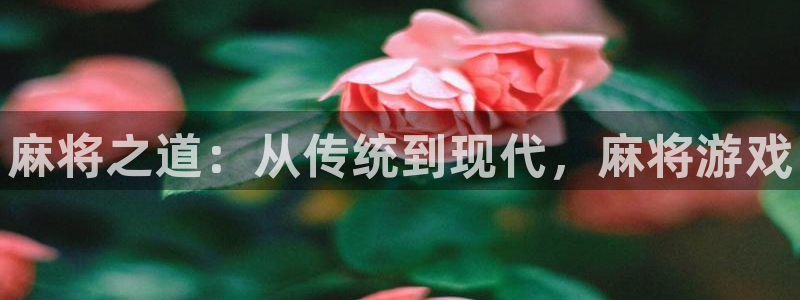 多彩娱乐测速登陆