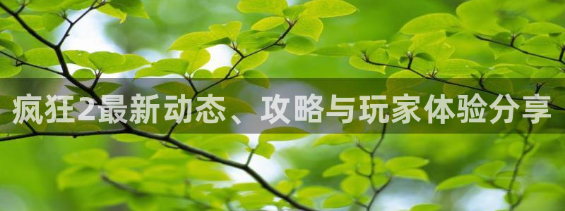 多彩娱乐网页版地址：疯狂2最新动态、攻略与玩家体验分享