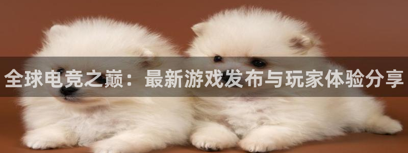沐春多彩娱乐：全球电竞之巅：最新游戏发布与玩家体验分享