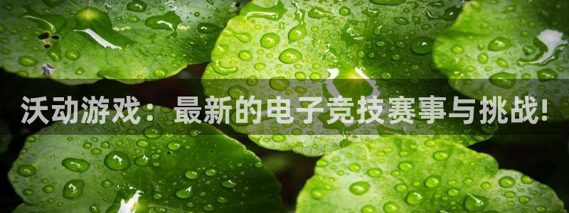 多彩娱乐登录网址：沃动游戏：最新的电子竞技赛事与挑战!