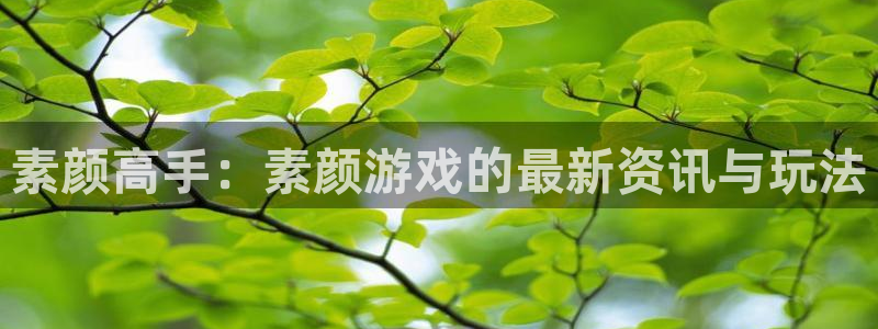 多彩娱乐平台官网登录：素颜高手：素颜游戏的最新资讯与玩法