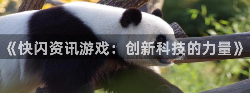 多彩娱乐注册开户：《快闪资讯游戏：创新科技的力量》